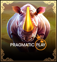 Pragmatic
